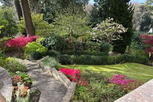 (Vendor Pics - Summer 2024)- click for photo gallery
